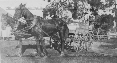 Jack Ryan's butchers cart