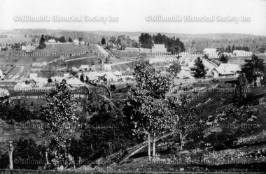Photograph - Black & white photograph, Diamond Creek township from Ness Street c1900