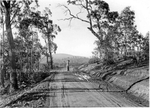 Lady walking dog on a country road