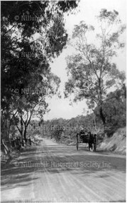 Near Loyola College Greensborough