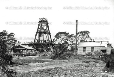 Diamond Creek Gold Mine with poppet head and buildings