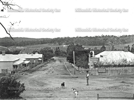 Chute Street Diamond Creek, two dogs and a man about 1910