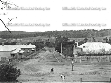 Chute Street Diamond Creek, two dogs and a man about 1910