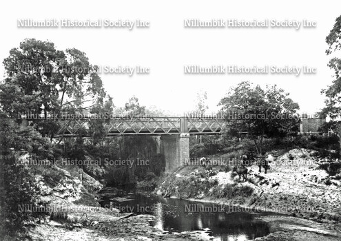 Iron Bridge over the Diamond Creek with Two Cows Looking North Early 1900s