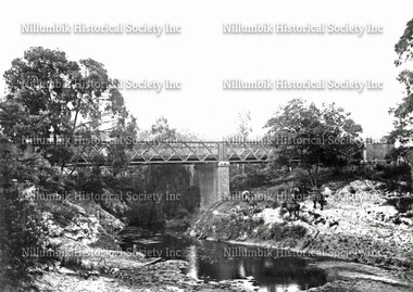 Iron Bridge over the Diamond Creek with Two Cows Looking North Early 1900s