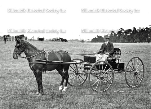Four-Wheeled Horse-drawn Carriage as an Exhibit at the Diamond Creek Horticultural Show