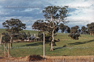 Nillumbik Farm Diamond Creek