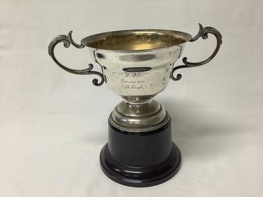 Award - Trophy - Williamstown Football Club 1955 Premiers