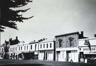 Photograph - Nelson Place, streetscape