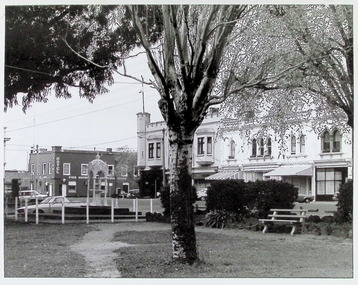 Photograph - Nelson Place, Wilkinson Drinking Fountain