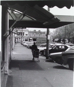 Photograph - Nelson Place, streetscape