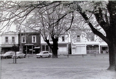 Photograph - Nelson Place, streetscape, 1960's
