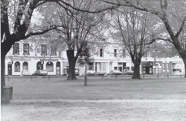 Photograph - Nelson Place, streetscape