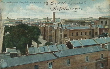Postcard - Alice Evans Postcard Collection, 06/1906