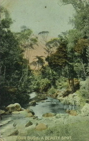 Postcard - Alice Evans Postcard Collection, 1905