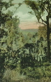 Postcard - Alice Evans Postcard Collection, 29/07/1909