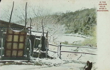 In the Adelaide Hills, after a snowstorm