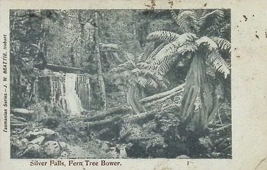 Silver Falls, Fern Tree Bower. Tasmanian Series. J.W. Beattie Series, Hobart