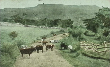 Landscape scene with cows on a road
