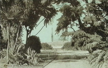 Postcard - A walk in the botanical gardens
