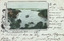 Postcard. Coloured photograph. Mosman's Bay