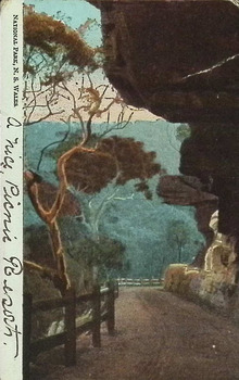 Postcard. Coloured photograph of National Park, N.S.W.