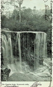 Postcard: Black and white photograph of The Weeping Rock, Wentworth Falls