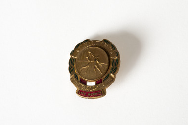 An ovular metallic badge marked with the words Chiltern Football Club Life Member. The central image is a raised depiction of two men playing Australian rules football, and the border is made up of elongated leaves and coloured panels in red and white. 
