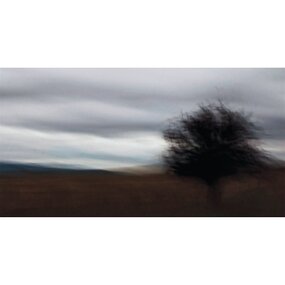 Photograph, Jenny Gibson, Towards Braidwood, 2011