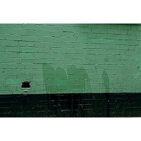 Photograph, Liz Orr, The Pissoire of last resort, September 2009