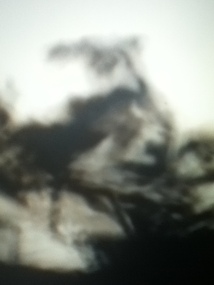 Video, Jenny Gibson, Shadower