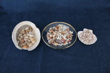 Geological specimen - Shells, 1920s
