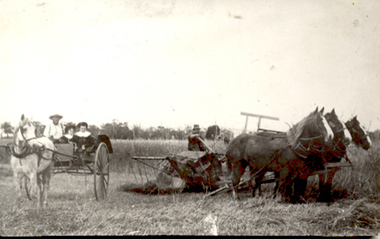 Photograph, Thrashing the wheat