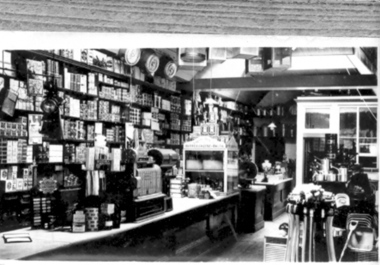 Photograph, Williams' Store and Grocery Department 1880