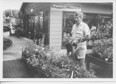 Photograph, Vern Marven Tatura Plant Nursey c1990s