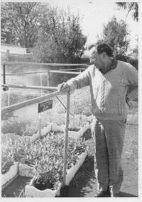 Photograph, Alan Brown, Tatura Tree Group, c1990s