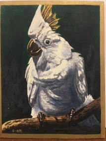 Painting - Painting - Oil, "Schwefelgelb Schopfiger, Weisser Australischer "Kakadu" Tatura. Weihnachten 1942"     Translation:  "Sulphur-yellow crested white Australian "Cockatoo" Tatura. Christmas 1942", 1940's
