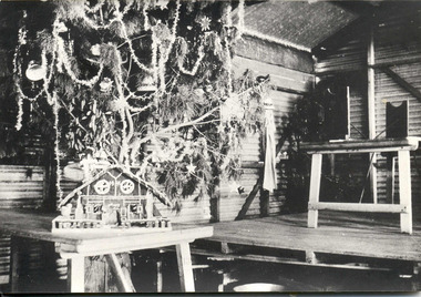 Photograph, Christmas tree