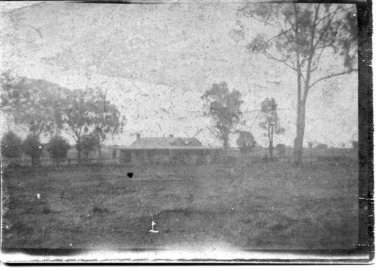 Photograph, Fuzzard