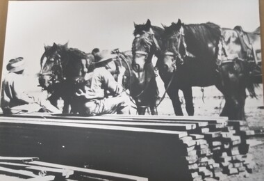 Photograph, Garrison guards and their mounts, copy 1989