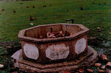 Photograph, Ornamental Pond, 1989