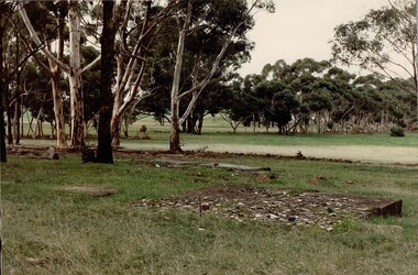 Photograph, Camp 1 Sports Ground, 1989