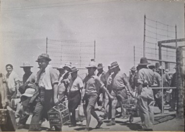 Photograph, Leaving Camp, 1989