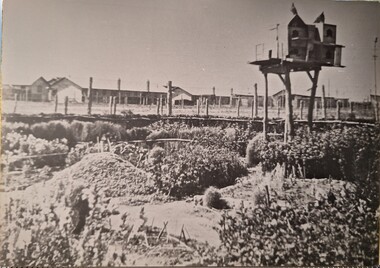 Photograph, Pigeon Loft at Camp 14, 1989