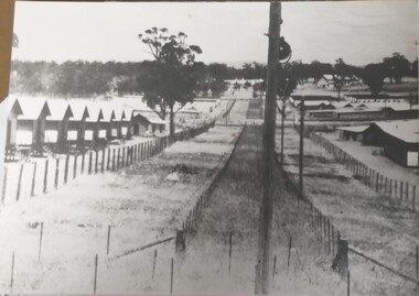 Photograph, Murchison Camp, 1941
