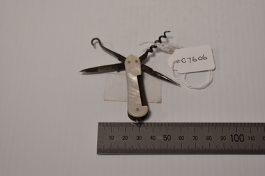 Knife - pocket