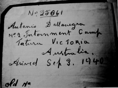 Diary extracts, Antonio Dallanegra