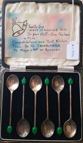 Domestic object - Spoons in display case