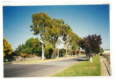 Photograph, Casey Street Tatura