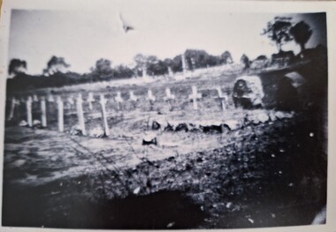 Photograph, German and Japanese Graves